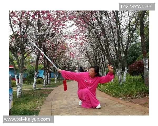 闪电太极足球：融合传统武术与现代竞技的全新运动体验